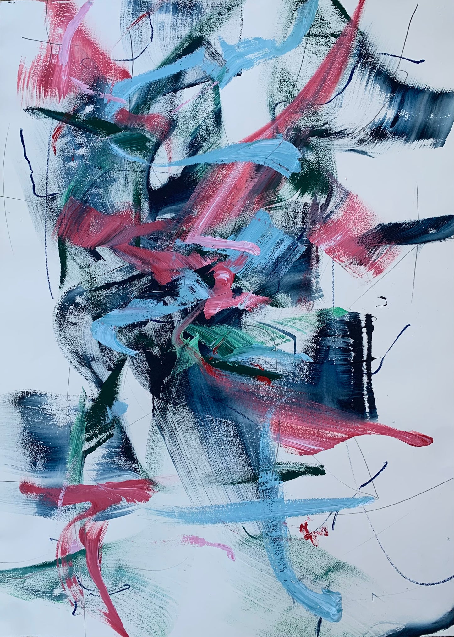 Songbird Migration